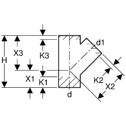 Bild von  Geberit PE Abzweig 45°,  DN:150 / 125, d[mm]:160, d1[mm]:125 , Art.Nr. : 369.139.16.1